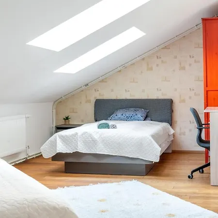 Large And Cozy 2-level 아파트