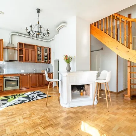 Apartment Large And Cozy 2-level *
