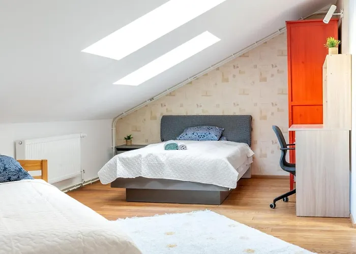 Large And Cozy 2-level Apartman